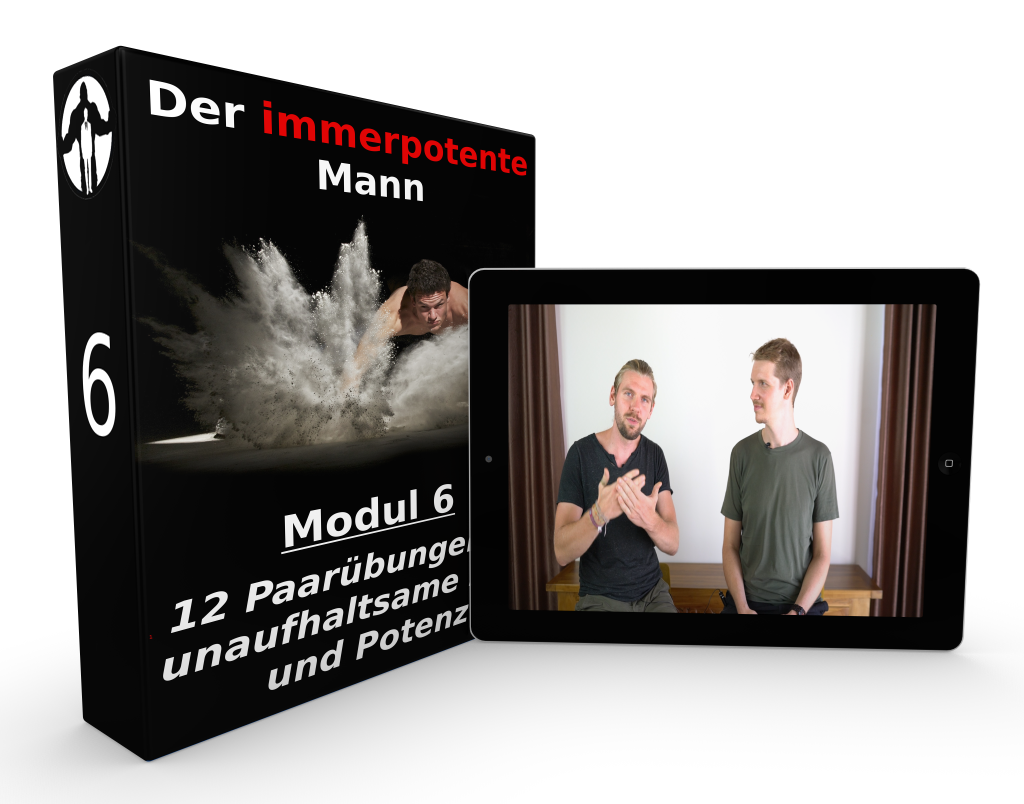der-immerpotente-mann-modul6