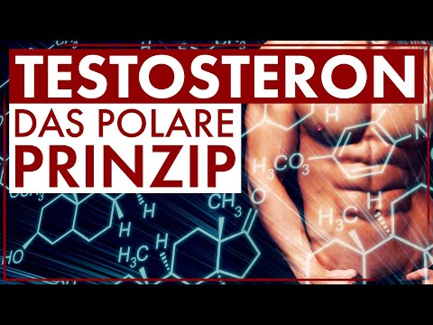 Testosteron steigern - Das Polare Prinzip | Männlichkeit stärken