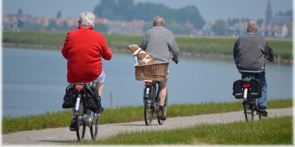 Sie meldet sich nicht mehr - Sei ein Mann und hab ein geiles Leben