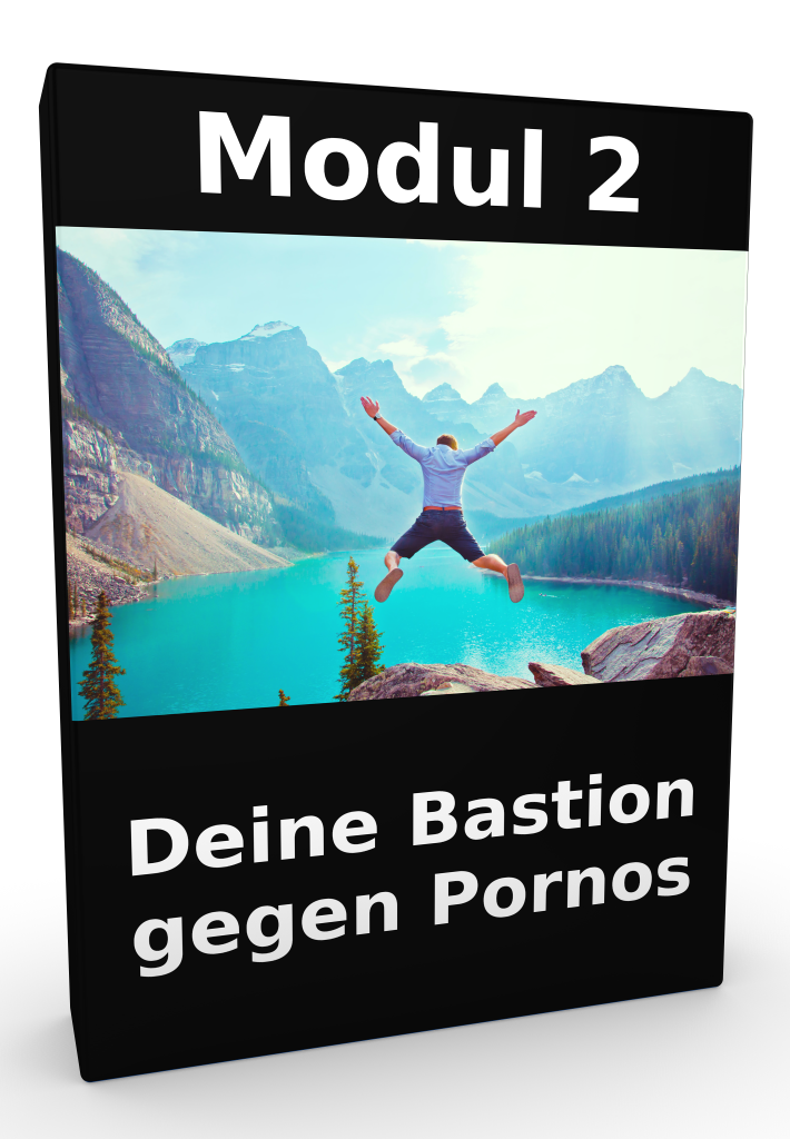 kurs-schluss-mit-pornos-modulcover-2-3d