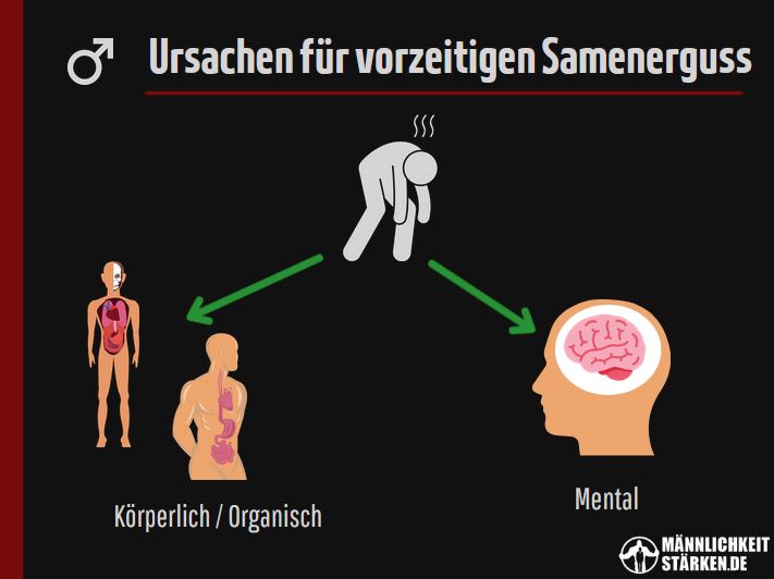 Ursachen fuer vorzeitigen Samenerguss sind physisch sowie psychisch