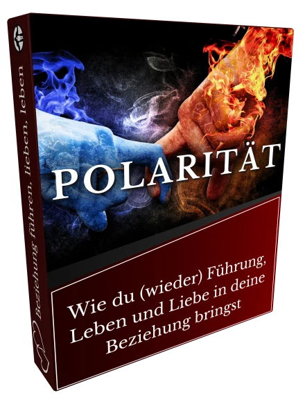 kurs-beziehung-fuehren-leben-lieben-modul-1-polarietaet-3d1 kurs beziehung fuehren leben lieben modul 1 polarietaet 3d1